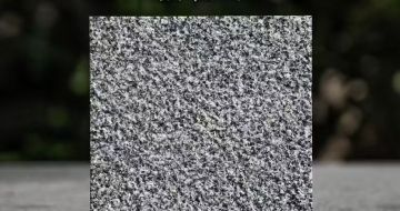 绍兴 芝麻黑荔枝面