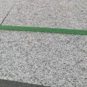绍兴芝麻白荔枝面质量