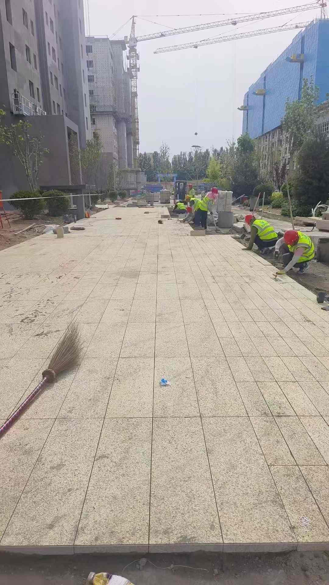 绍兴黄金麻荔枝面地铺案例