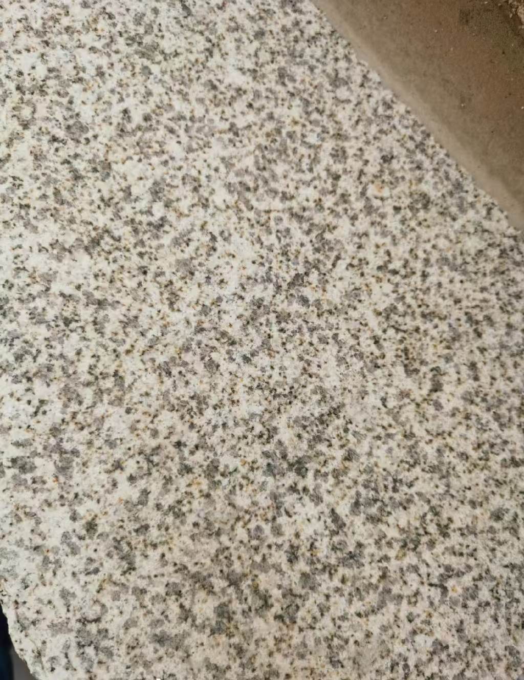 绍兴 黄金麻中黄光面