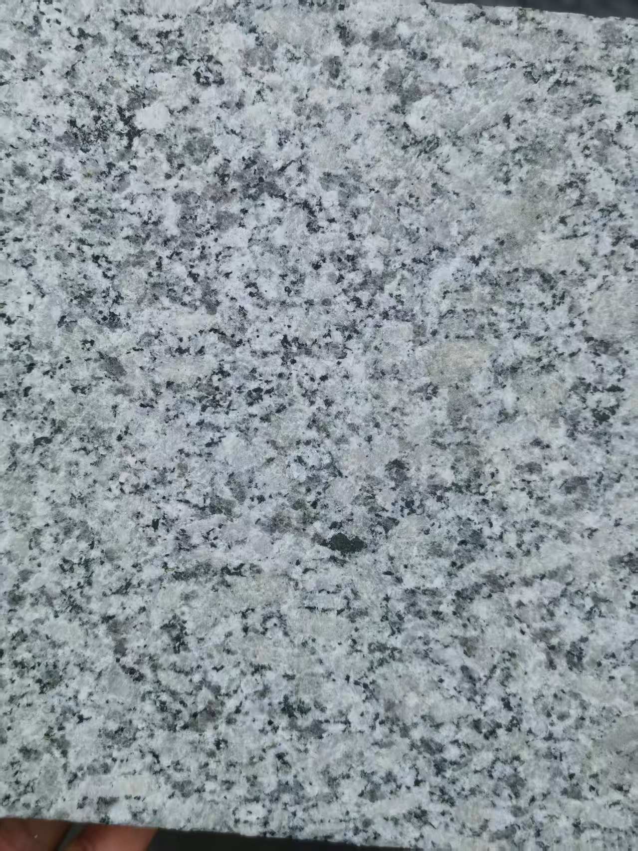 绍兴 芙蓉白火烧面